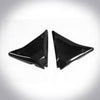 Carbon Fiber side covers for FXR