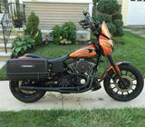 Complete Defender Saddlebags FXDP